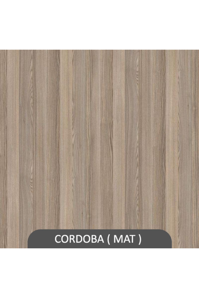 CROSS  RAF SET CORDOBA ( MAT )